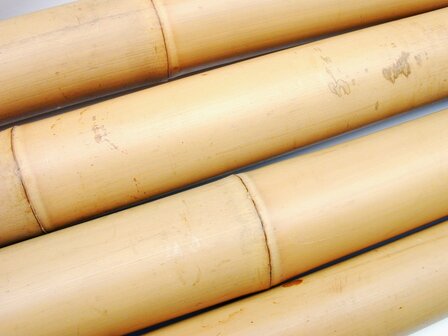 Tonkin stok 60cm 6/8mm (25stuks)