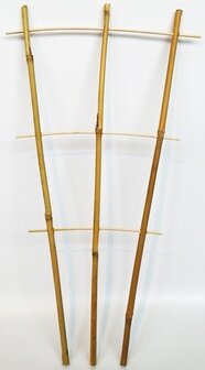 Bamboe-rek 75cm (2stuks)