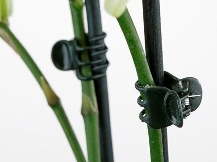 Orchidee / Haarclip Medium (12stuks)
